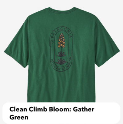 Camiseta Patagonia Clean Climb Trade