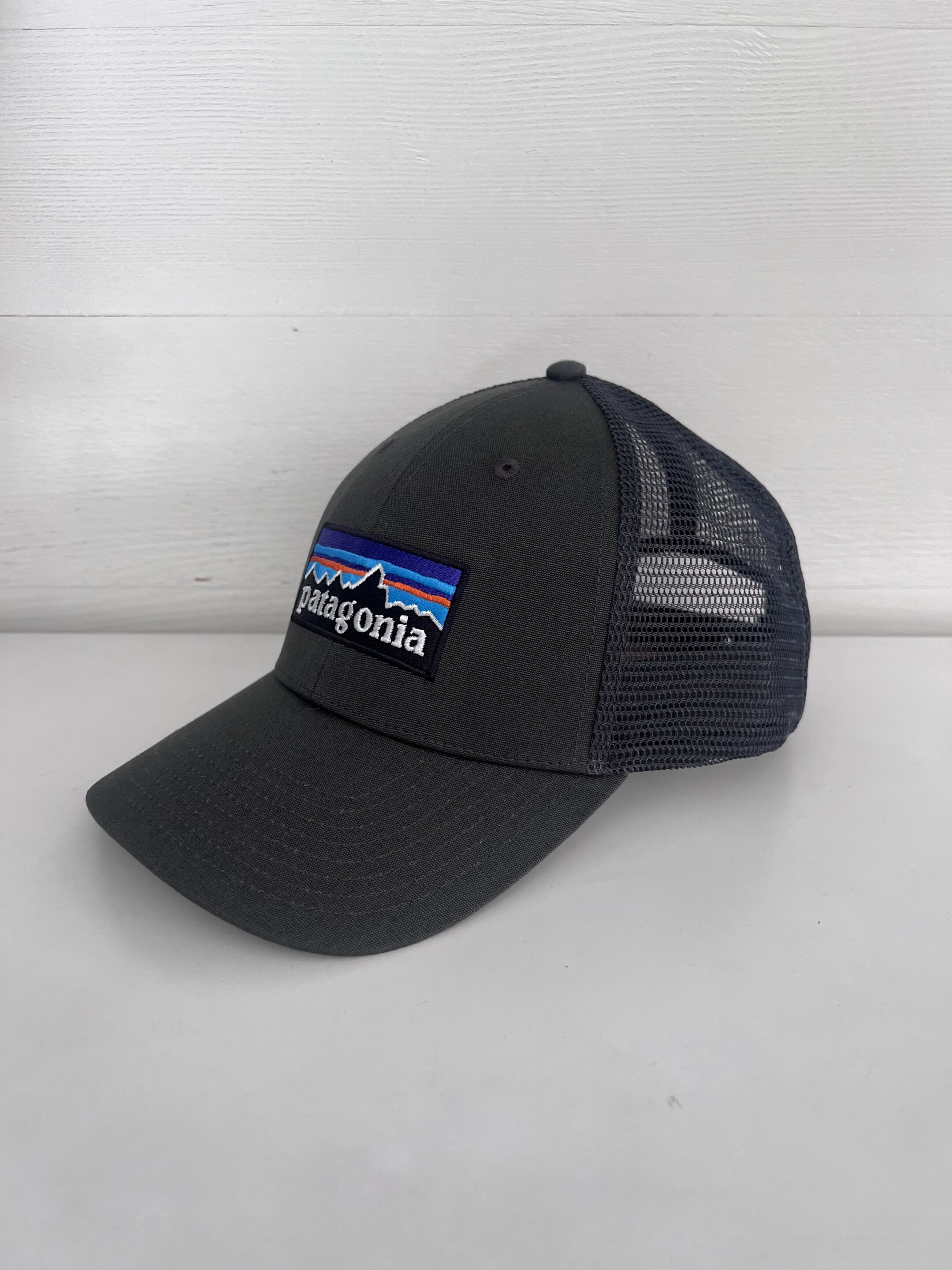 Patagonia P6 Logo Trucker Hat