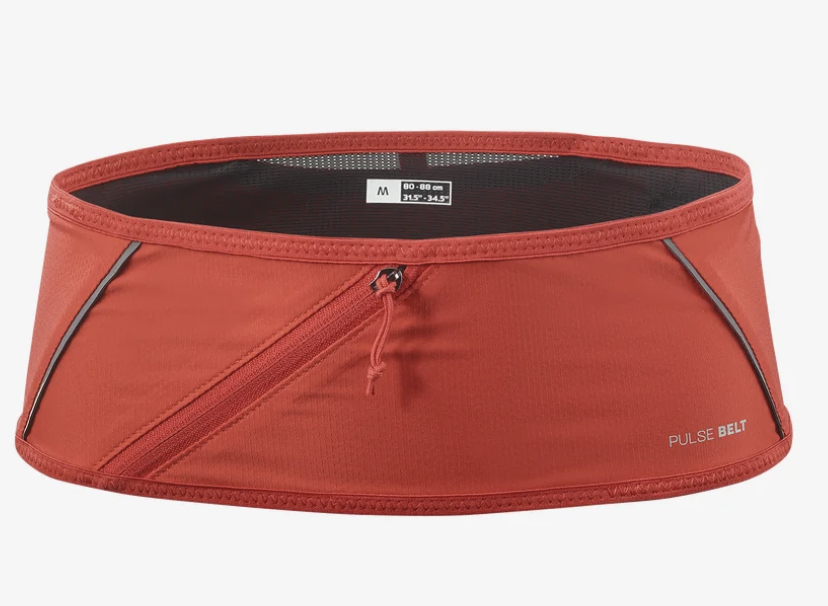 Salomon Pulse