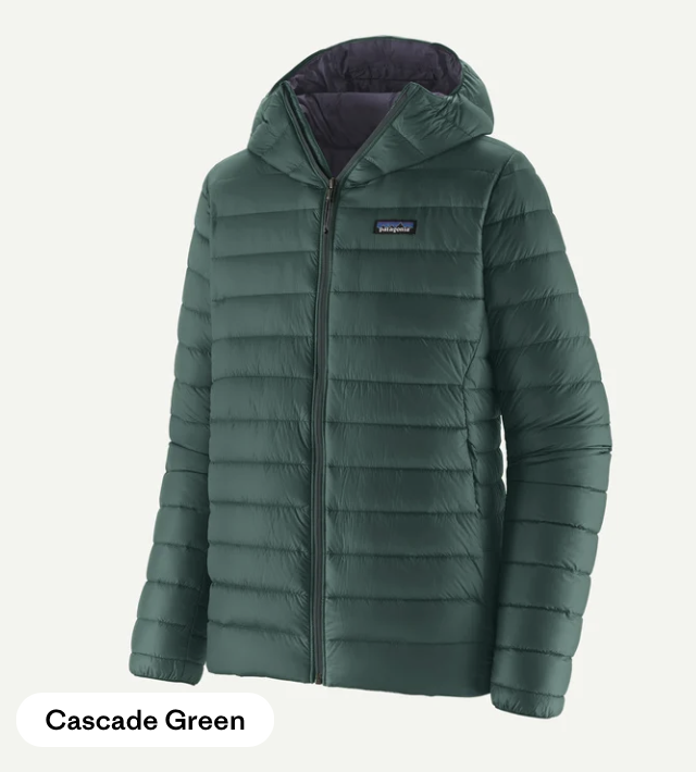 Patagonia Down Sweater hoody Jacket