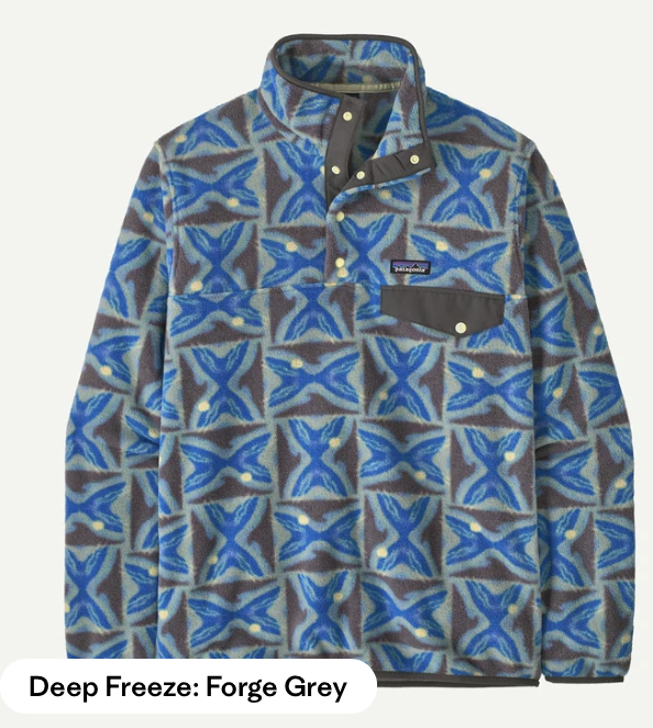 Patagonia Lightweight Sencilla Snap-T Fleece Pullover